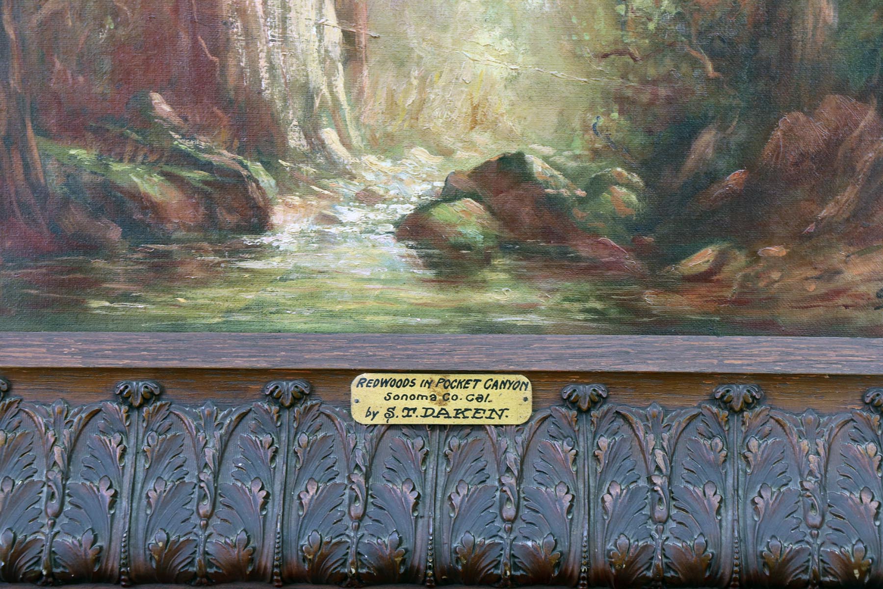 S. Tilden Daken, Redwoods in Pocket Canyon, Sonoma Co., Cal. - Image 3